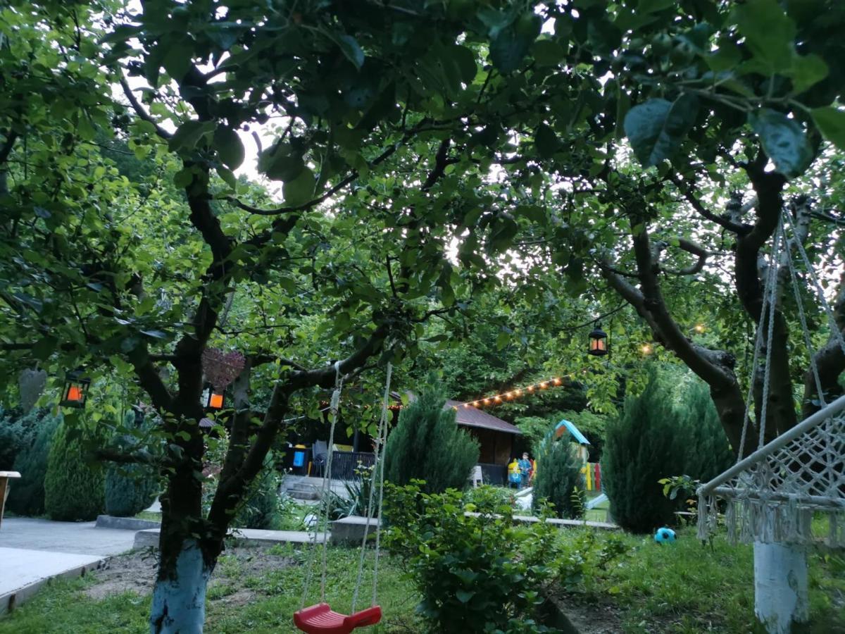 Orşova Casa Noastra酒店 外观 照片